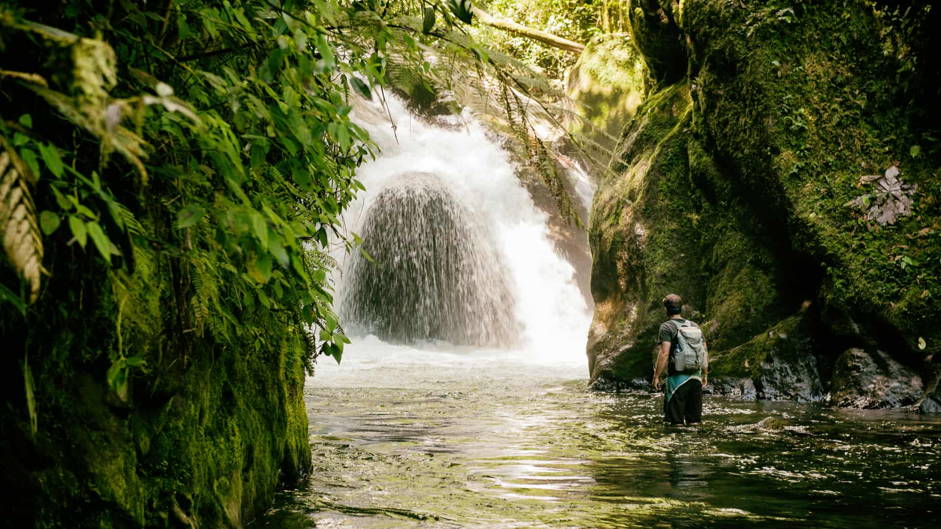 Persona adentrandose en la selva de Ecuador para cuyo viaje contrató un seguro Persona adentrandose en la selva de Ecuador para cuyo viaje contrató un seguro