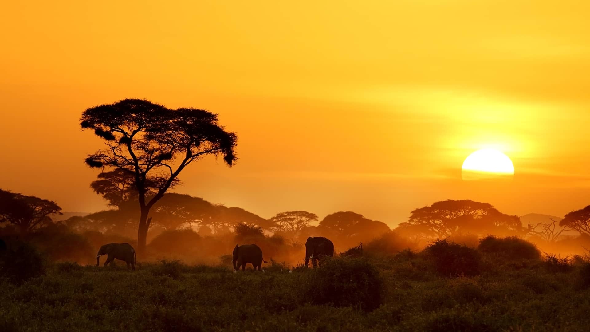 Puesta de sol en Kenia para donde es posible contratar un seguro de viaje