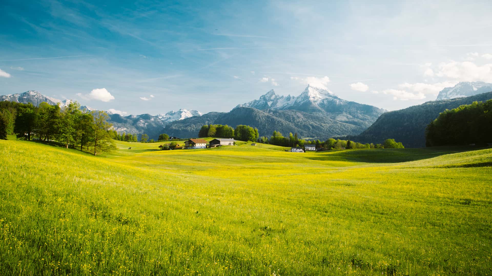 Paisaje idílico en los Alpes por la parte Suiza con prados florecientes en primavera para donde es posible contratar un seguro de viaje Paisaje idílico en los Alpes por la parte Suiza con prados florecientes en primavera para donde es posible contratar un seguro de viaje