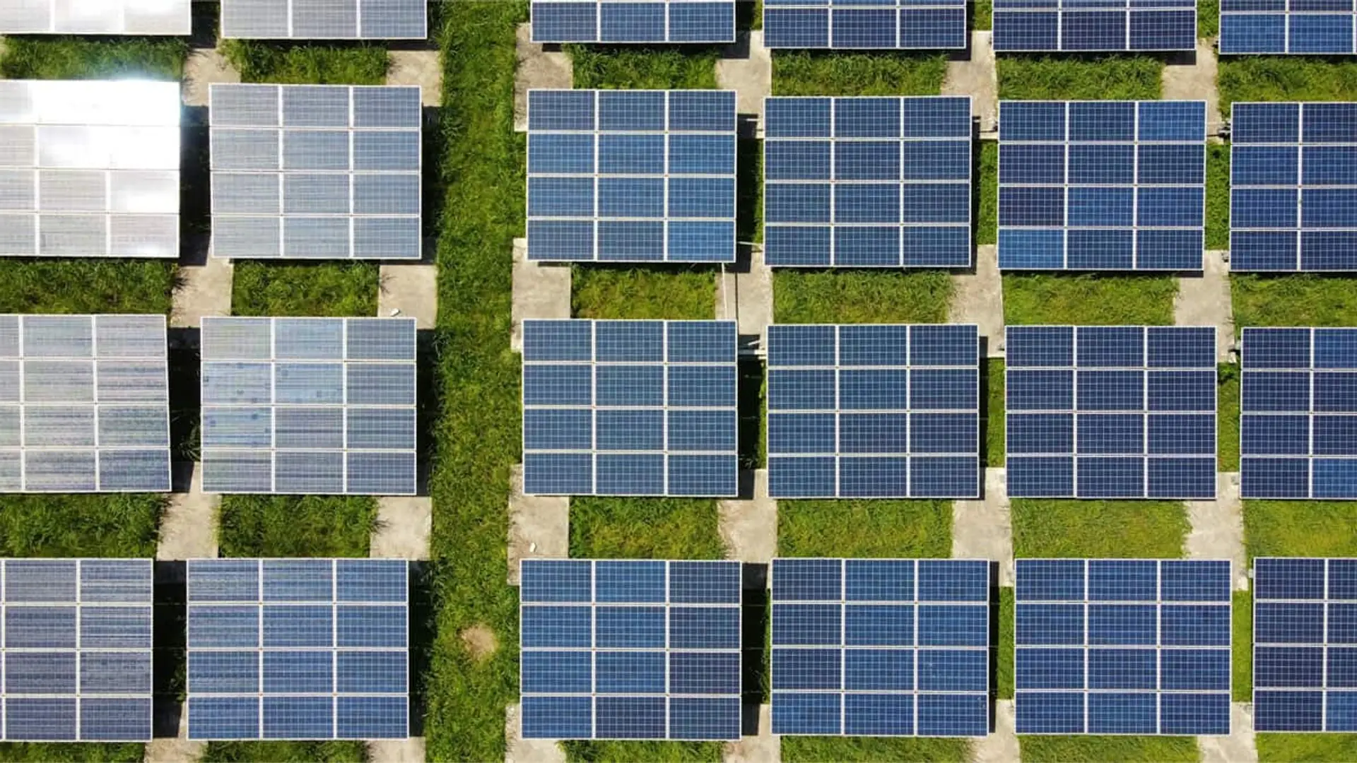 ¿Qué consecuencias tendrían las propuestas de VOX para frenar en seco las renovables? Vista aérea de un campo cubierto de paneles solares alineados sobre terreno verde.