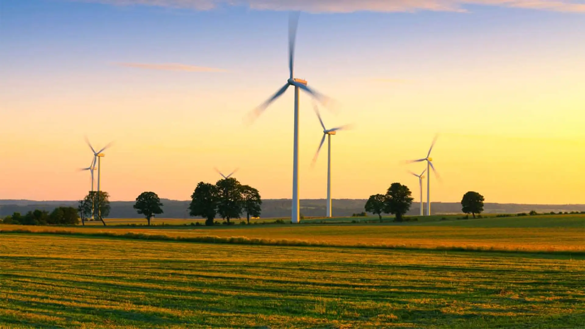 El Gobierno blinda la rentabilidad de las renovables en las horas con precios cero o negativos Aerogeneradores en funcionamiento en un campo durante la puesta de sol.