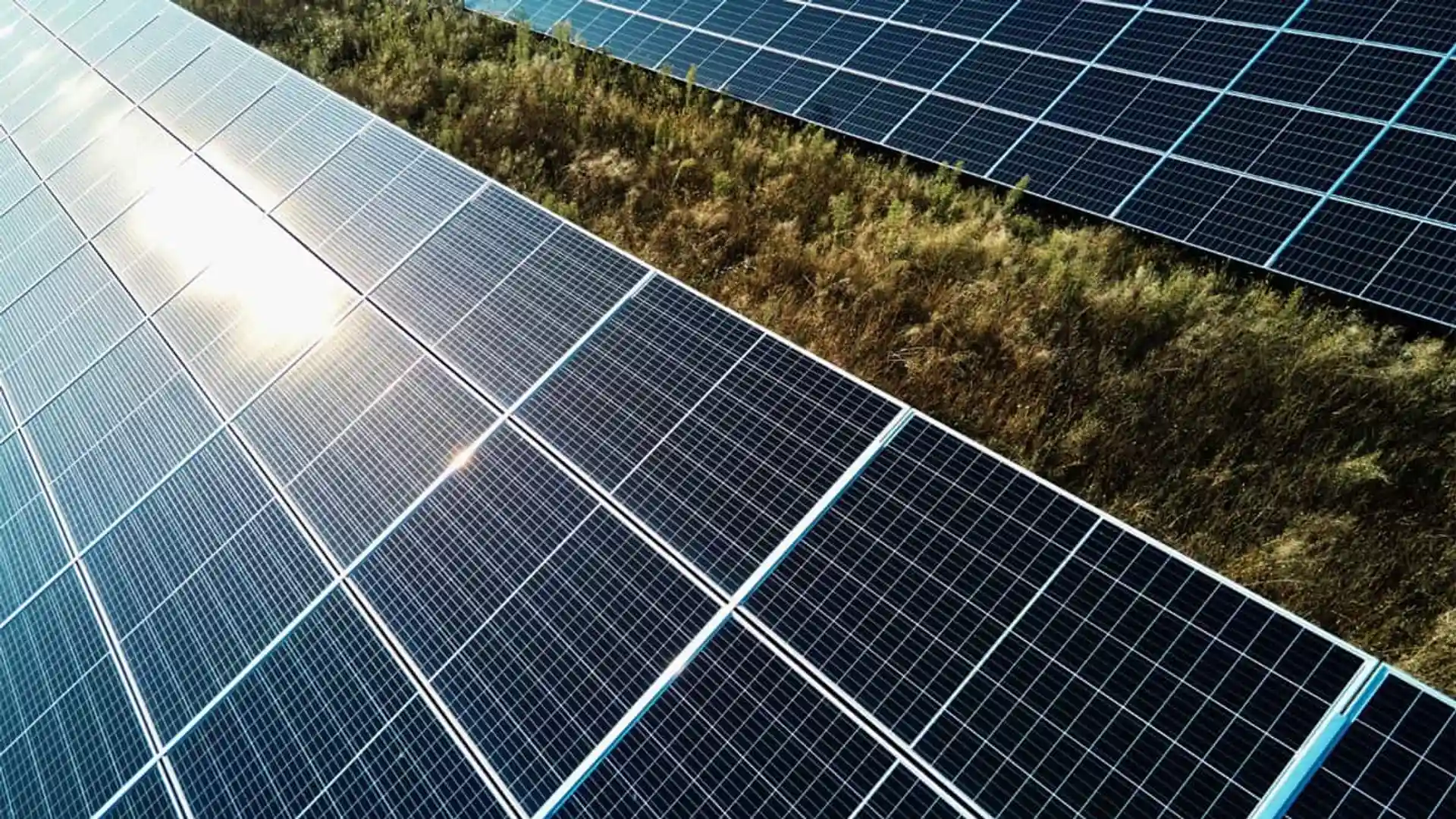 Filas de paneles solares instalados en una planta fotovoltaica para generar energía renovable.