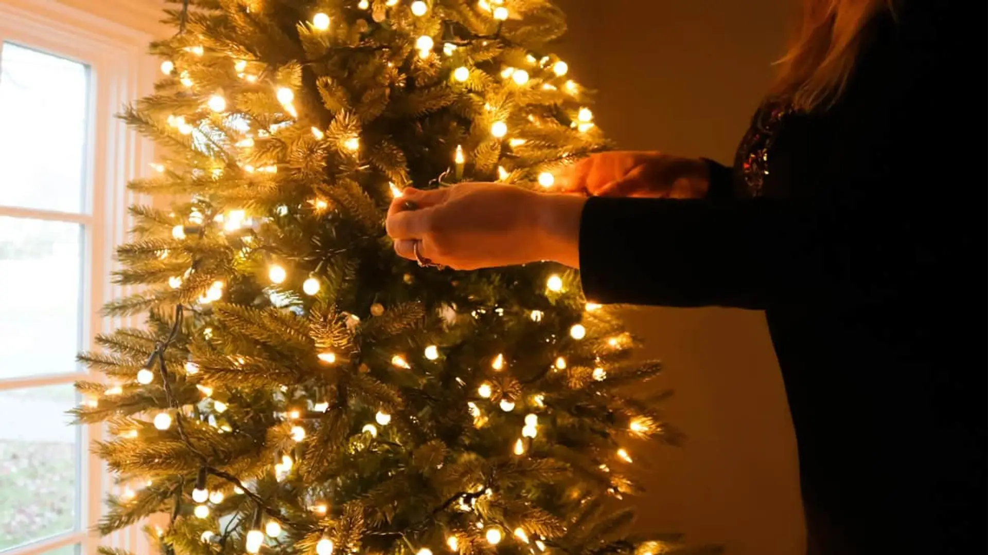 Manos colocando guirnalda de luces LED cálidas en las ramas de un árbol de Navidad iluminado.