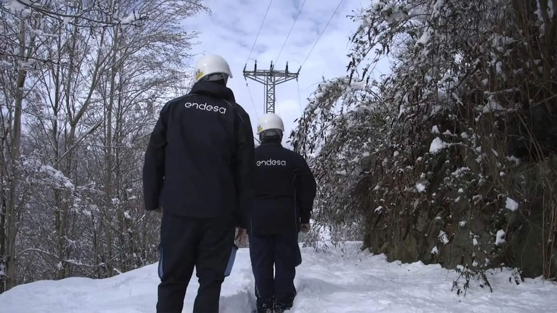 Endesa aumentará un 36% su inversión en redes eléctricas en España hasta los 5.500 millones Técnicos de Endesa inspeccionando una línea eléctrica en un entorno nevado.
