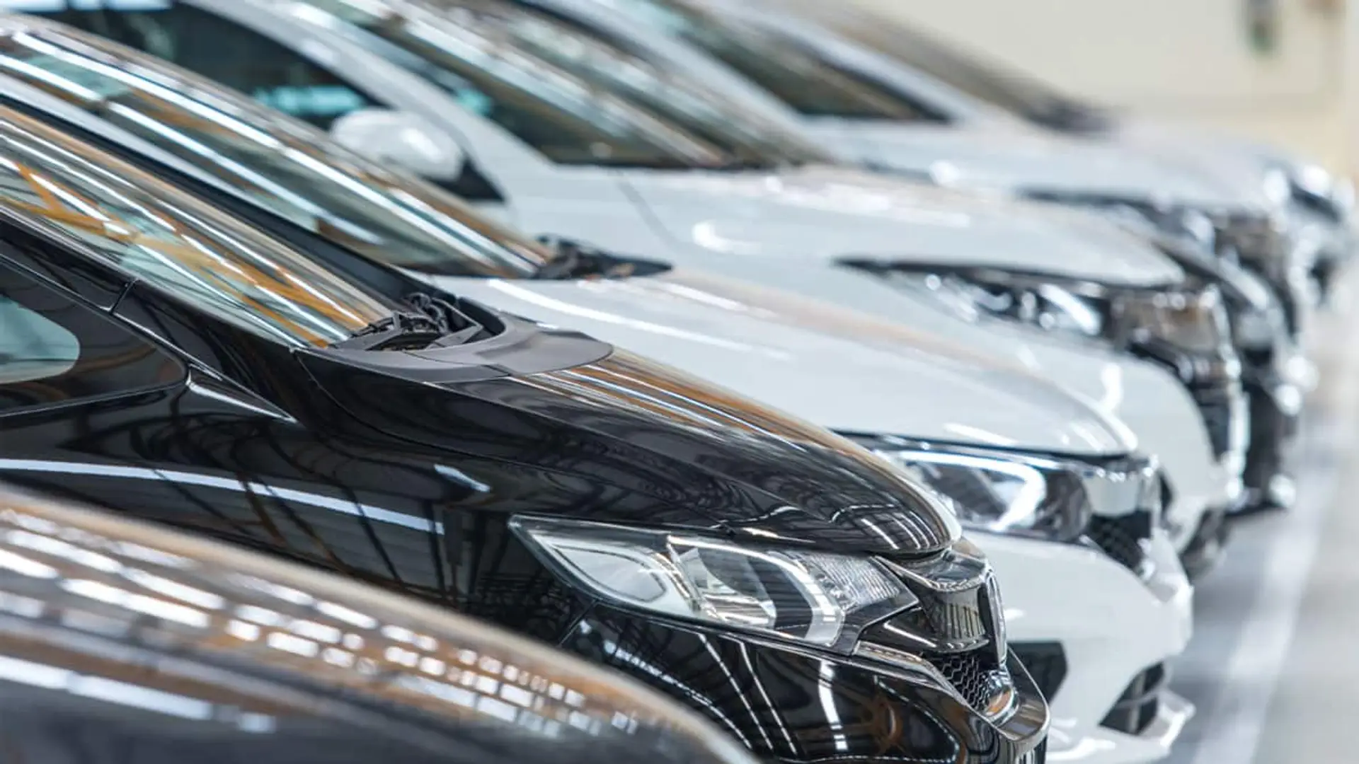 Fila de coches nuevos en un concesionario con enfoque en el frontal de los vehículos.
