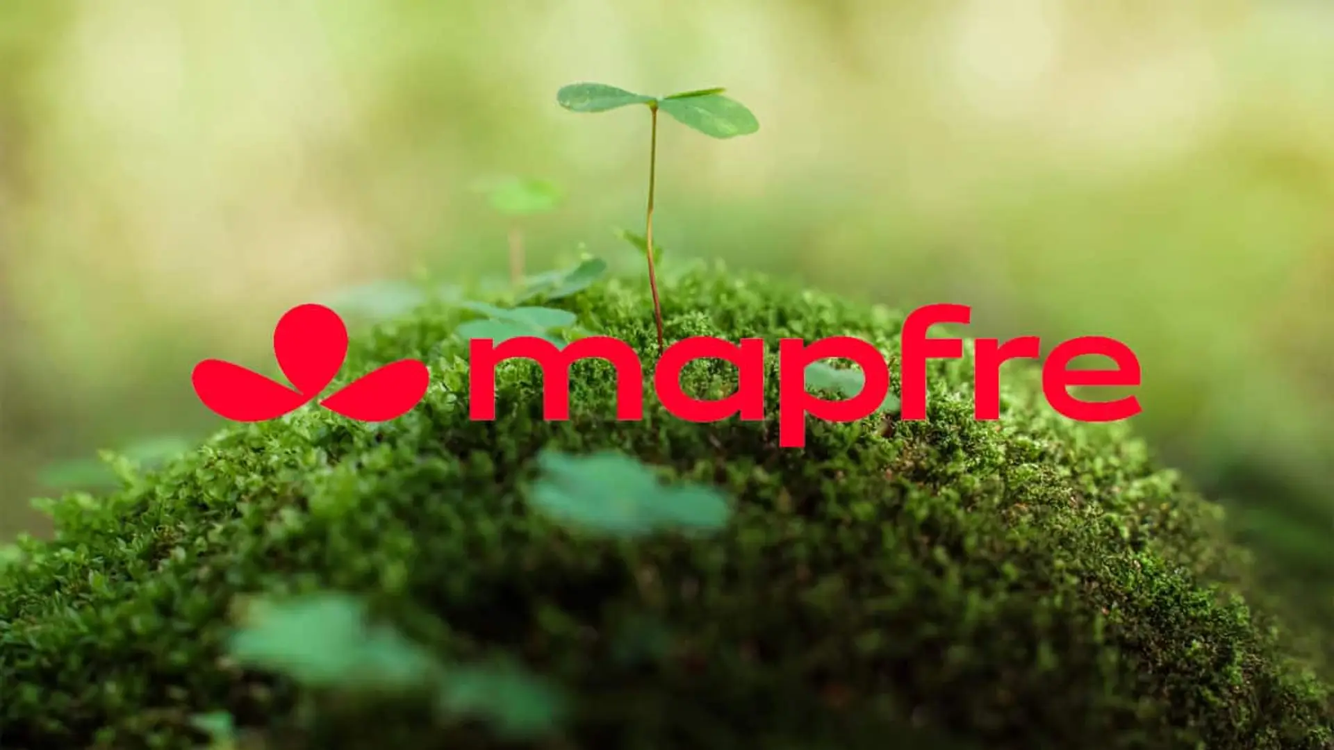 Superficie de musgo con pequeños brotes y el logotipo de Mapfre sobre la imagen