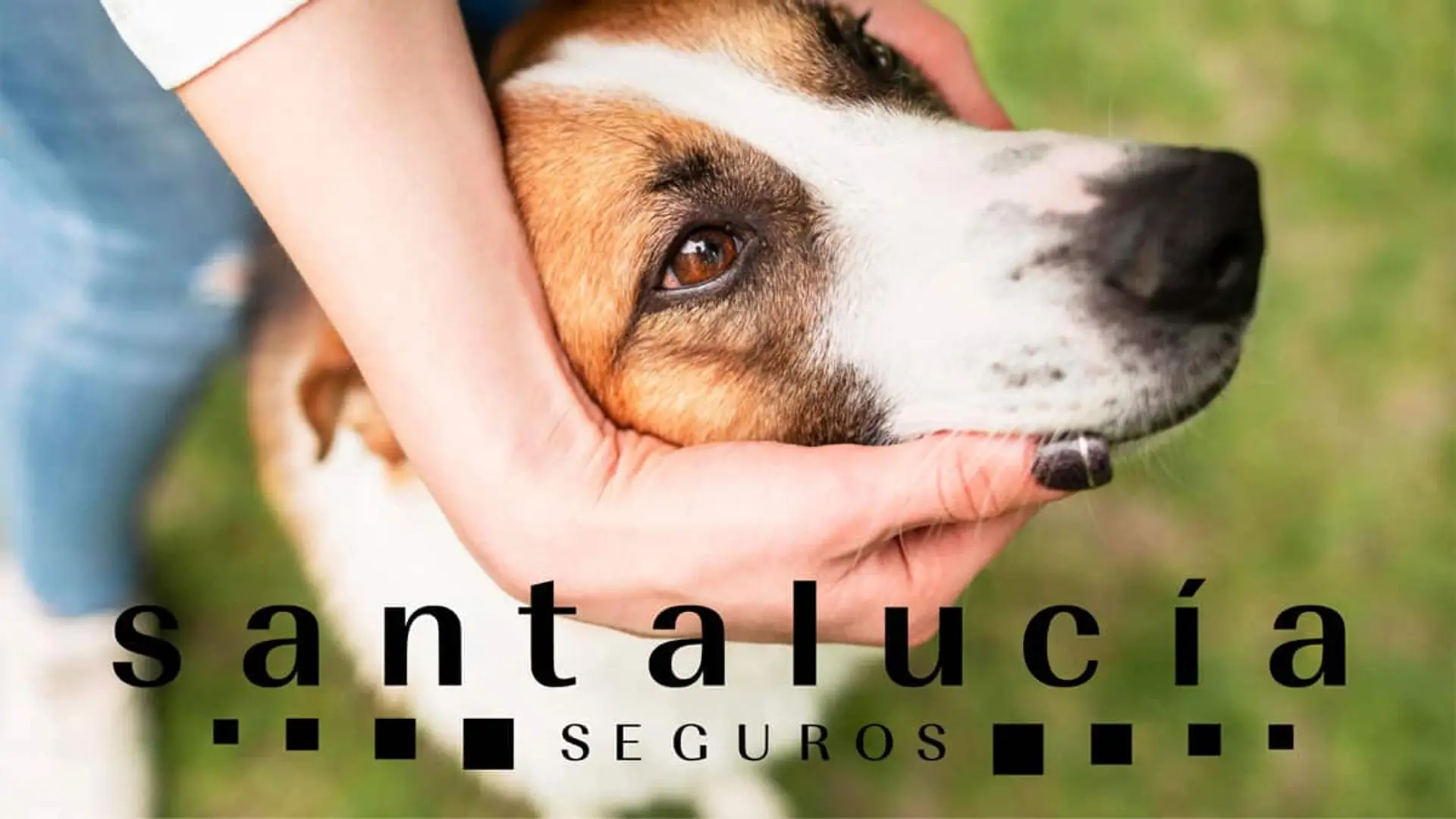 Primer plano de un perro sujetado con una mano y el logotipo de Santalucía Seguros sobre la imagen