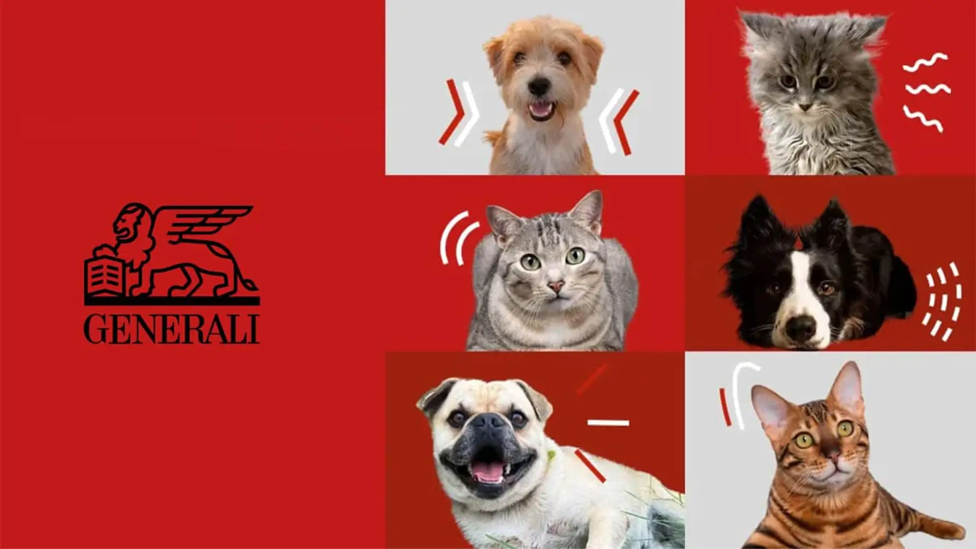 Del refugio insonorizado al seguro completo: lo que Generali lanza en Fallas para proteger a tu mascota Logotipo de Generali Seguros junto a un mosaico de perros y gatos para representar sus pólizas de salud y bienestar animal.