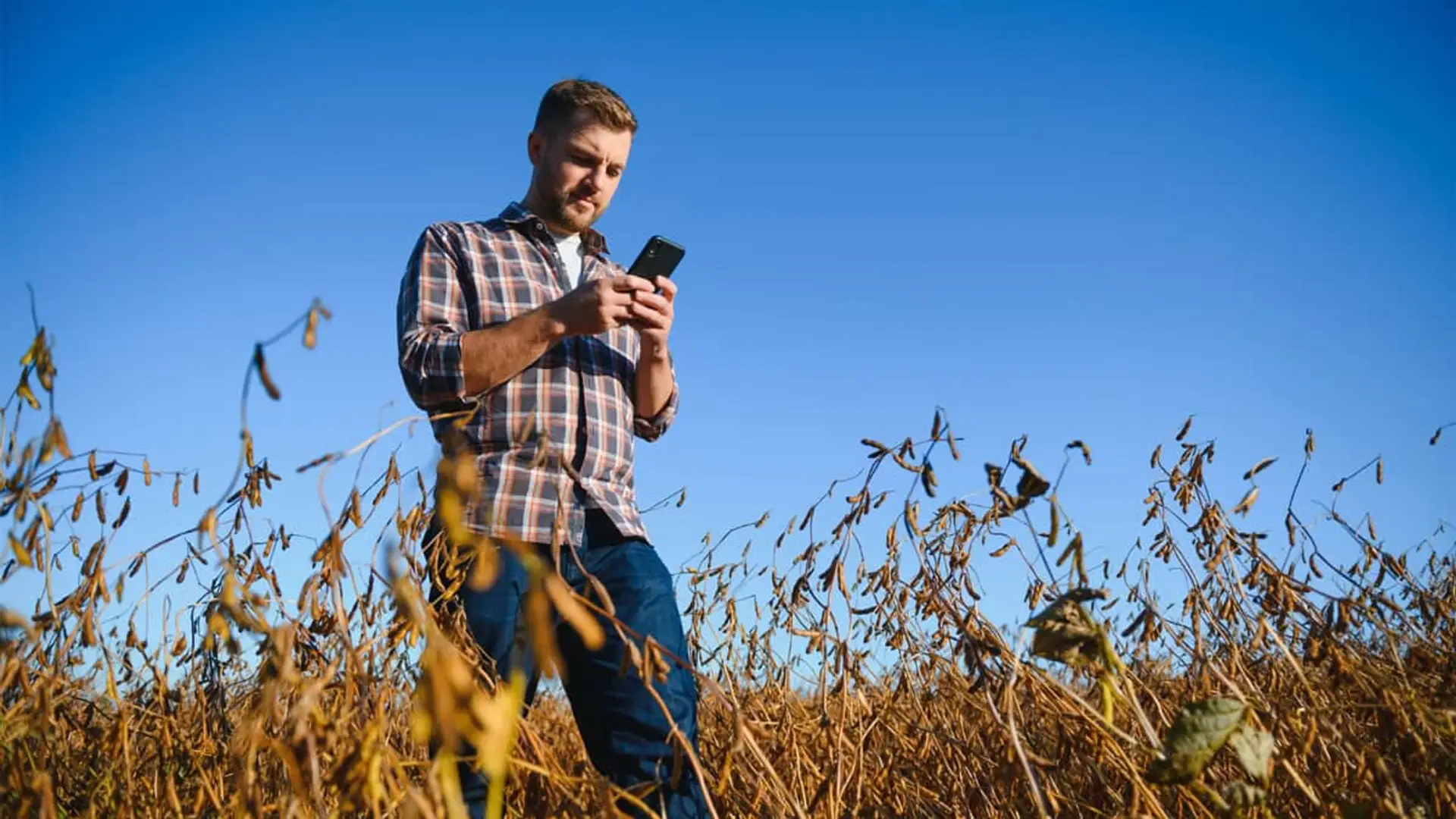 Conectividad rural: agricultor usando su móvil en un campo con cobertura de internet y telefonía.