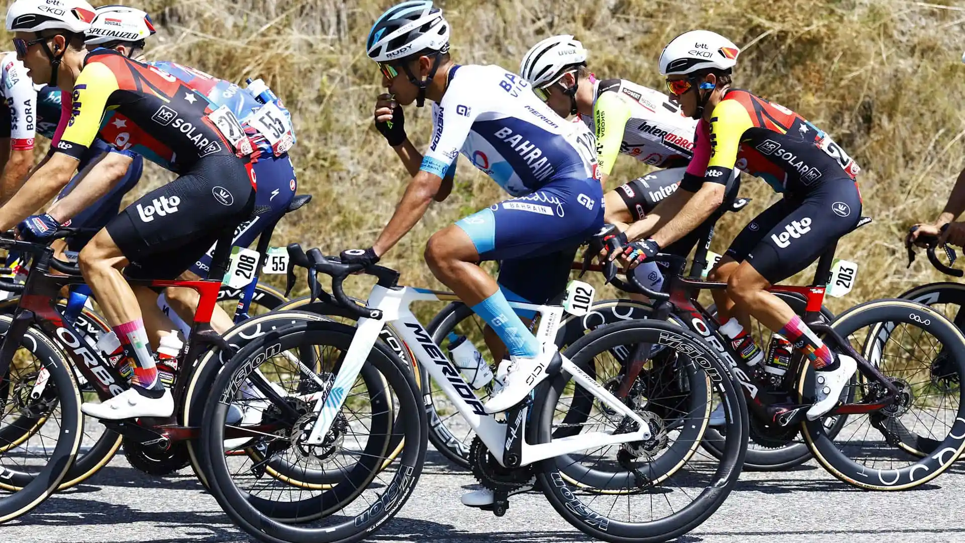 ¿Dónde ver la Vuelta a España 2025 gratis? Un ciclista comiendo una barrita energética en el pelotón durante una dura etapa de una carrera ciclista como La Vuelta.