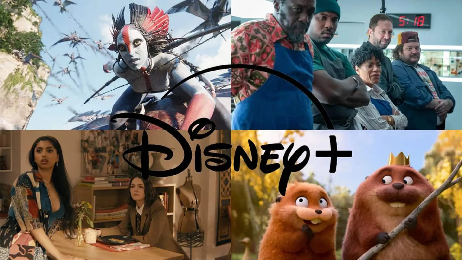 El adiós de The Bear, Avatar 3 y lo último de Pixar: todos los estrenos de Disney+ para este junio Montaje con cuatro escenas de películas, series y animación y el logotipo de Disney Plus en el centro