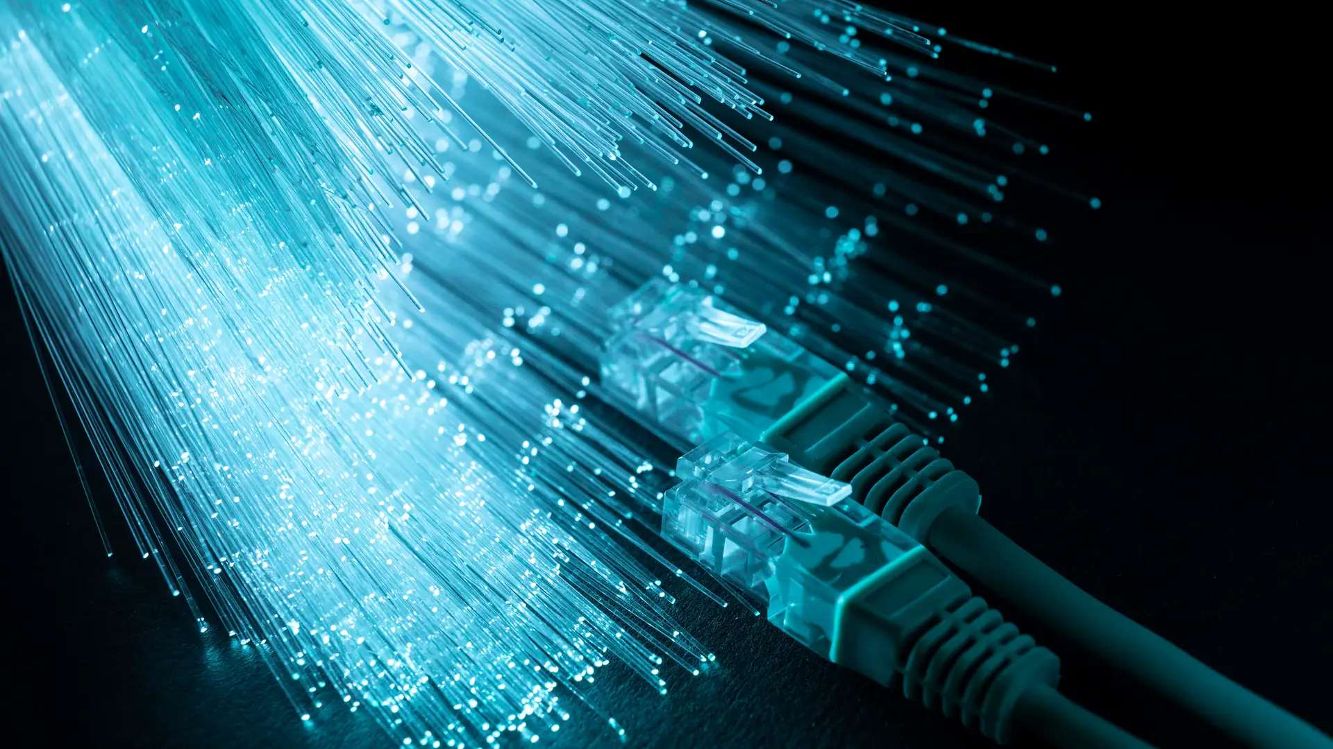 internet enlazado imagen