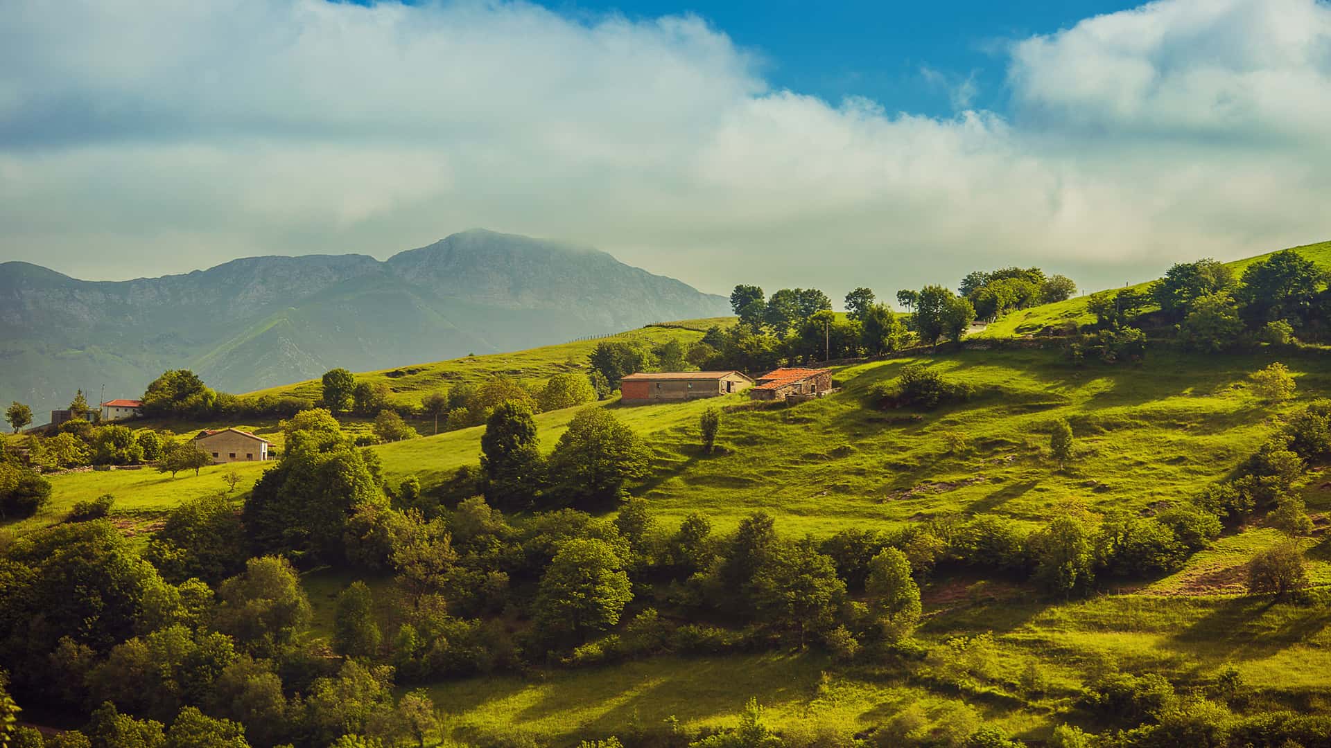 Internet rural Asturias: navega con las mejores ofertas