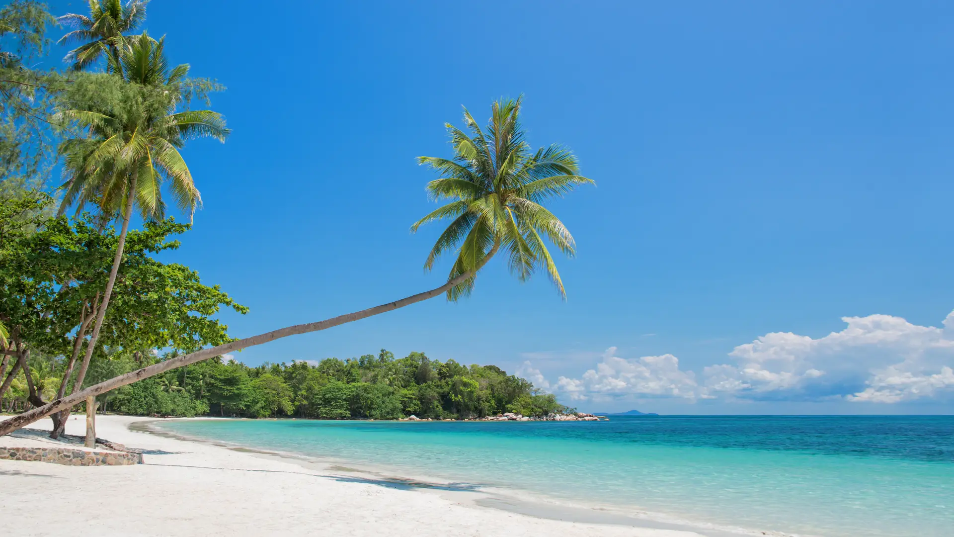 Playas de Hawai para representar las tarifas internacionales de internet allí Playas de Hawai para representar las tarifas internacionales de internet allí