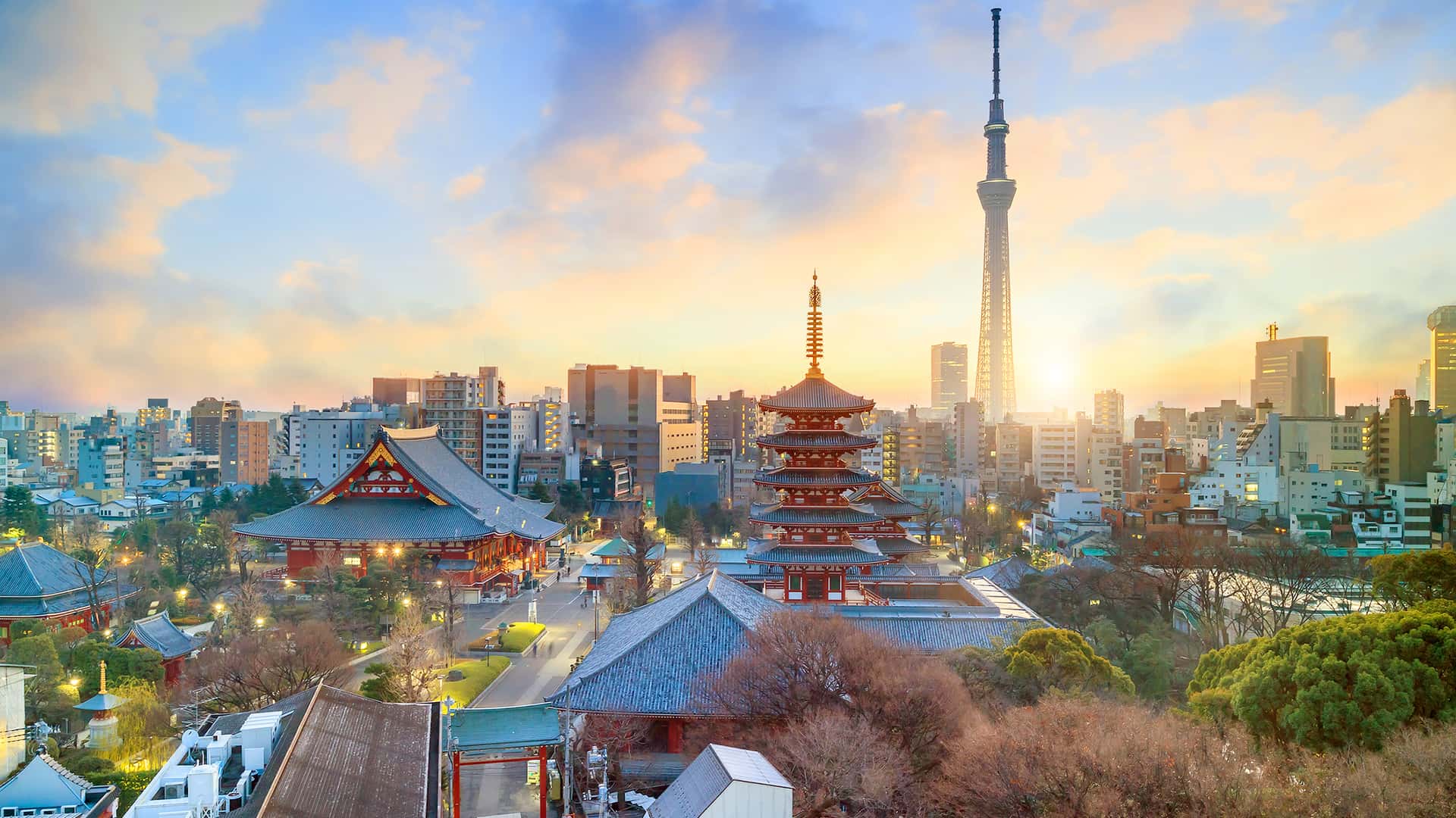 Cómo tener internet en Tokio: alternativas y precios | Junio 2023