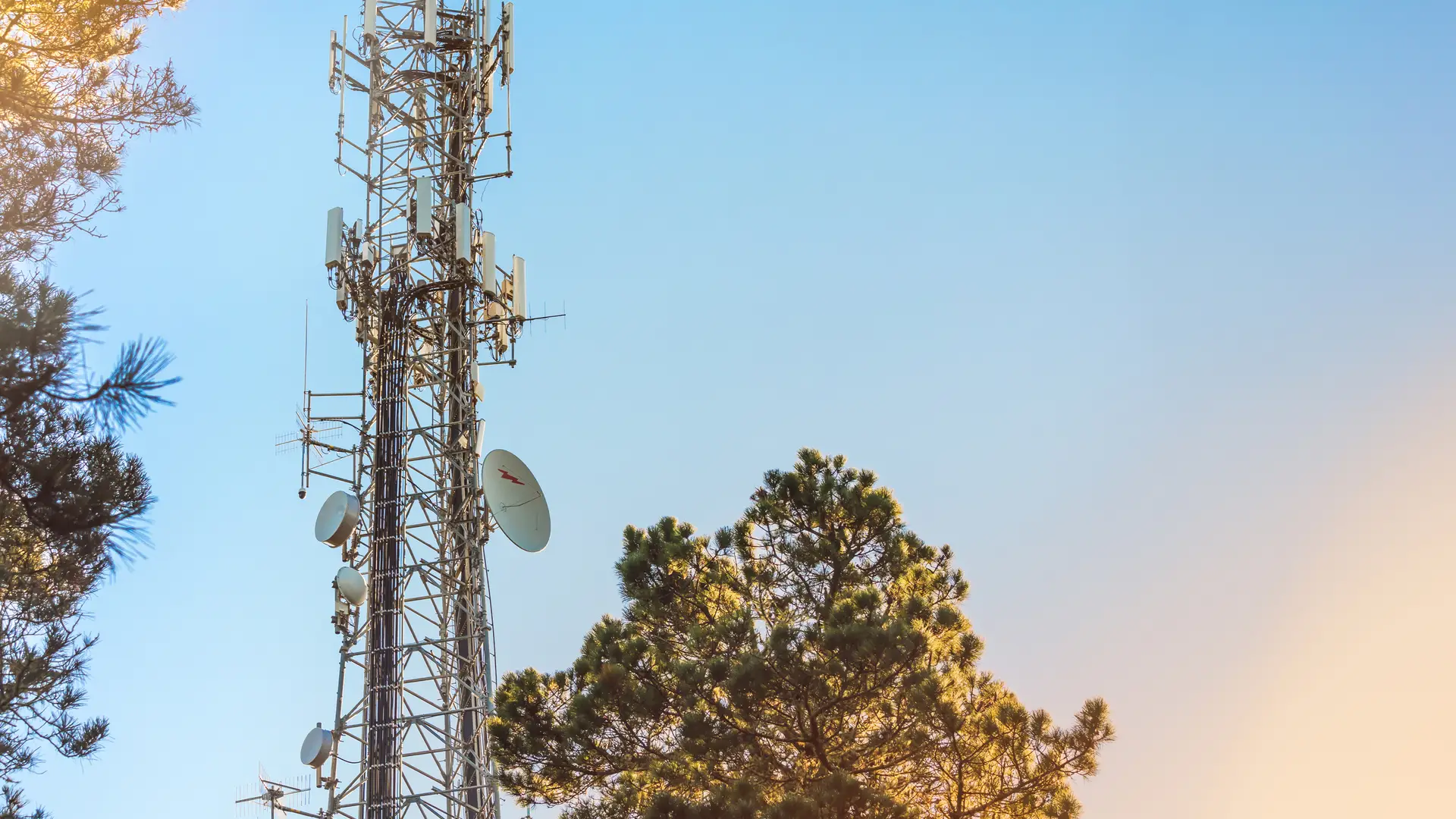 Antena telefónica en pinar simboliza cobertura guuk Antena telefónica en pinar simboliza cobertura guuk