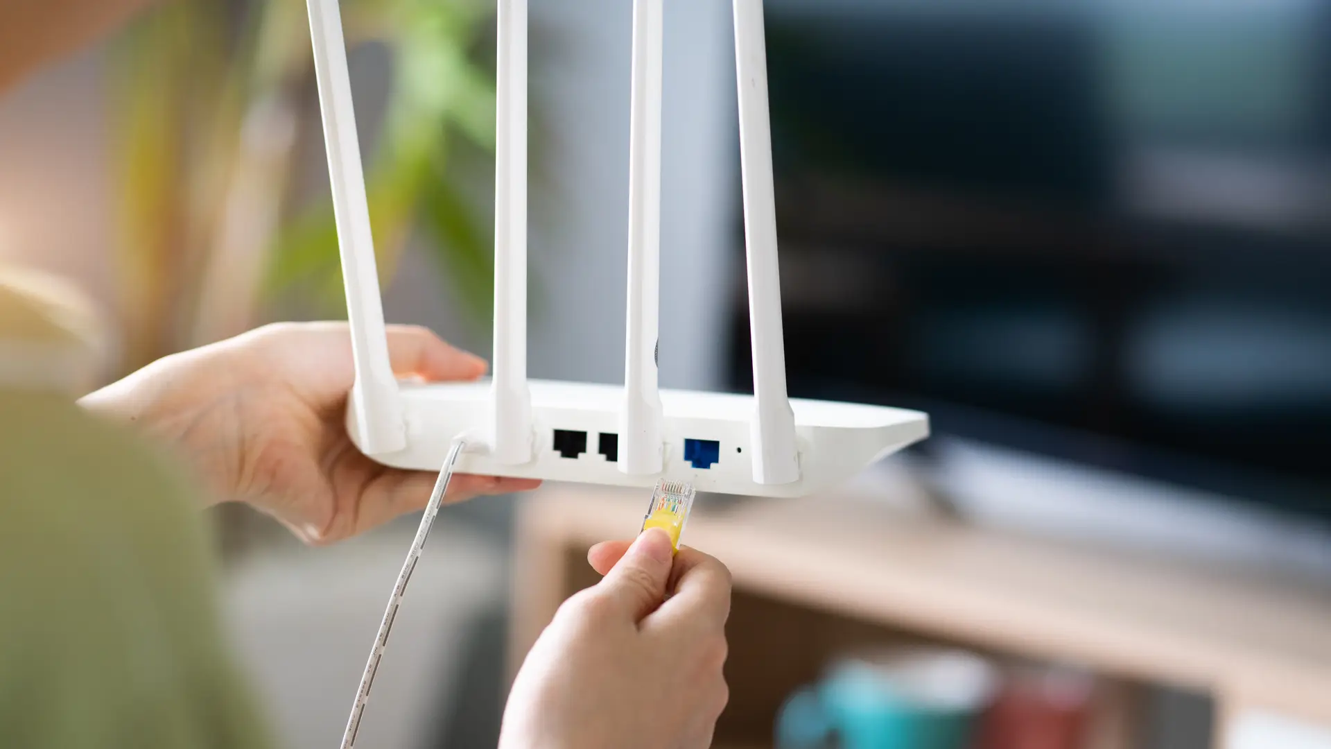 Mujer desconecta el cable ethernet de su router tras decidir cambiarlo por uno nuevo de jazztel Mujer desconecta el cable ethernet de su router tras decidir cambiarlo por uno nuevo de jazztel