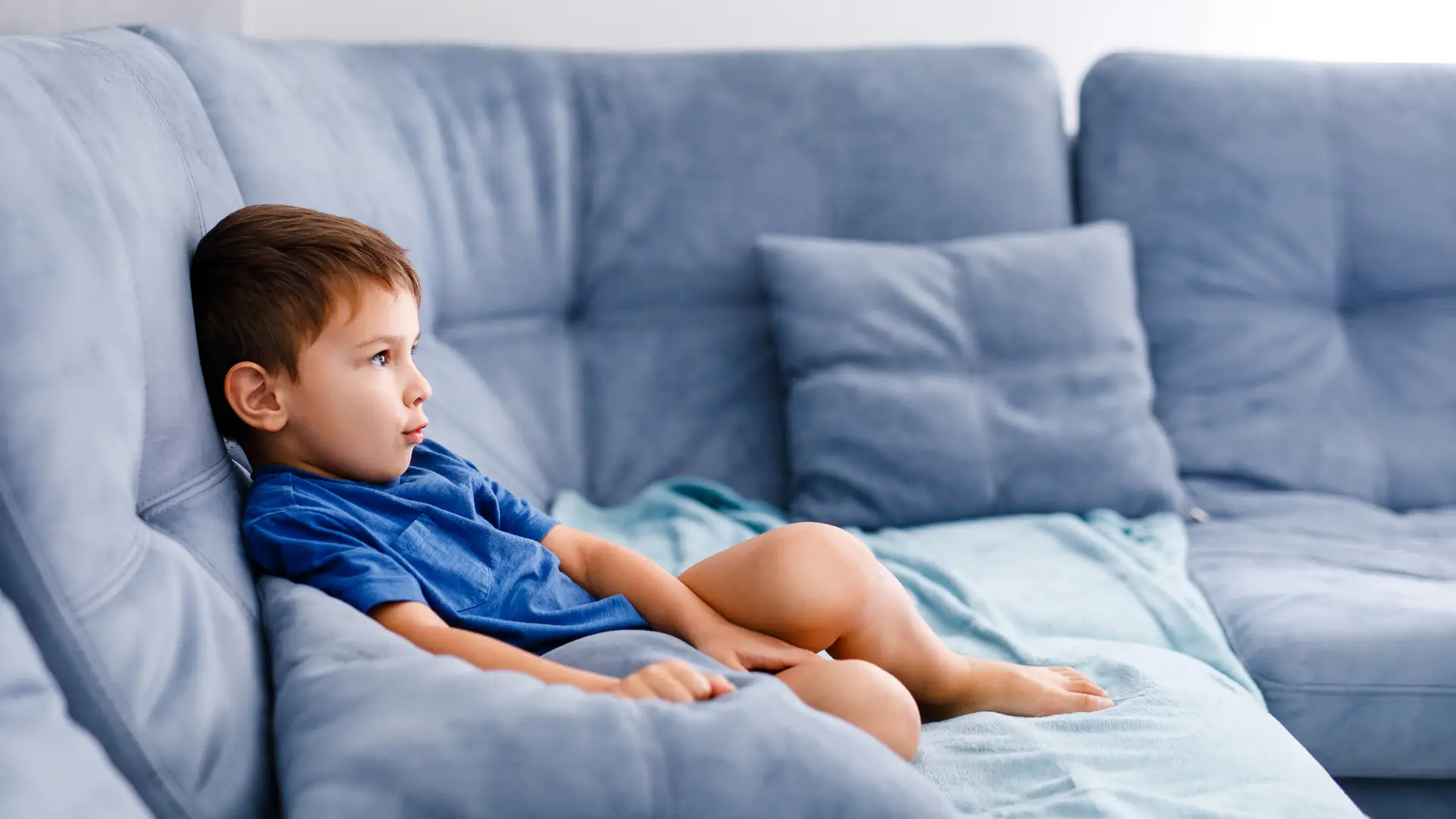 Niño en sofá azul disfruta de los canales de televisión infantil que ofrece Movistar Niño en sofá azul disfruta de los canales de televisión infantil que ofrece Movistar
