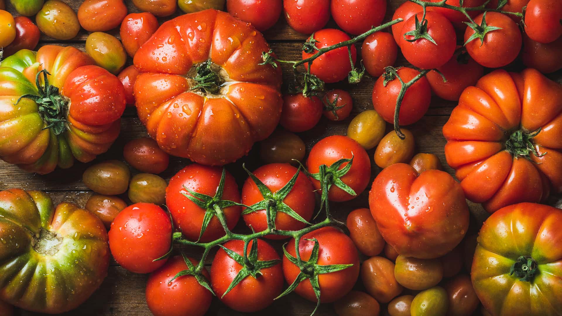 Diferentes tomates de tamaño y color representa la fibra indirecta de vodafone