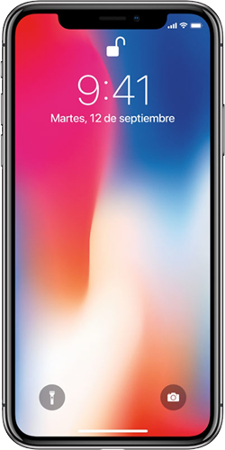 iPhone X 256 GB