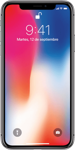 iPhone X