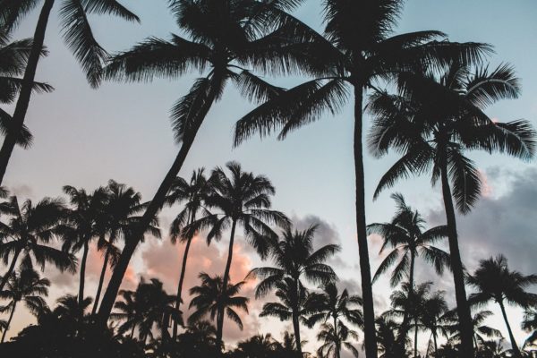 Gadgets para el verano en la playa