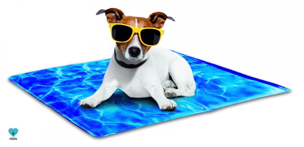 alfombra_refrigerante