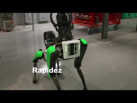 Miniatura del vídeo