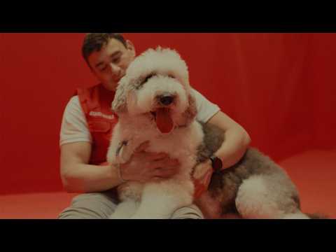 Miniatura del vídeo