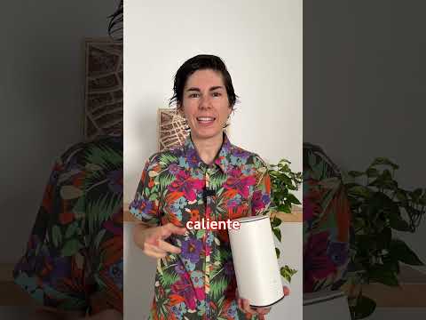 Miniatura del vídeo