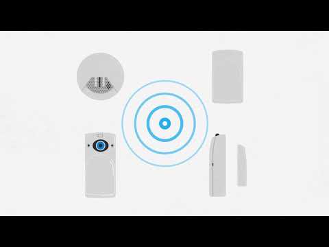 Miniatura del vídeo