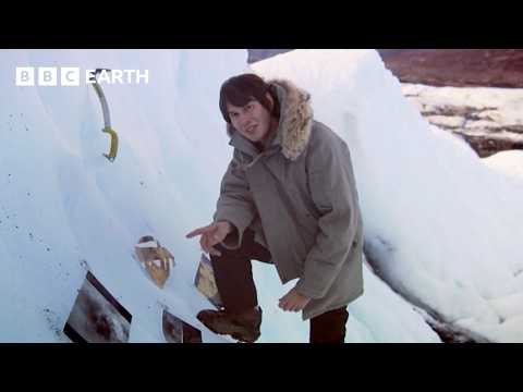 Miniatura del vídeo