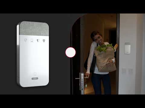 Miniatura del vídeo