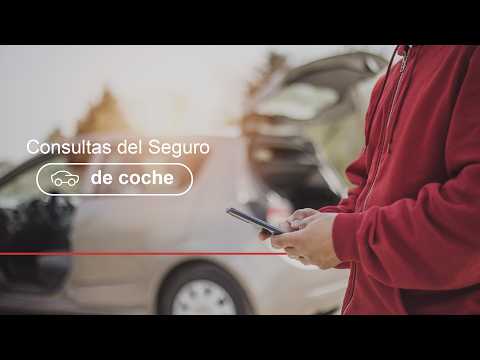 Miniatura del vídeo