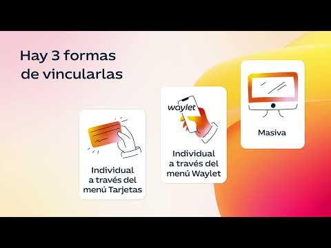Miniatura del vídeo