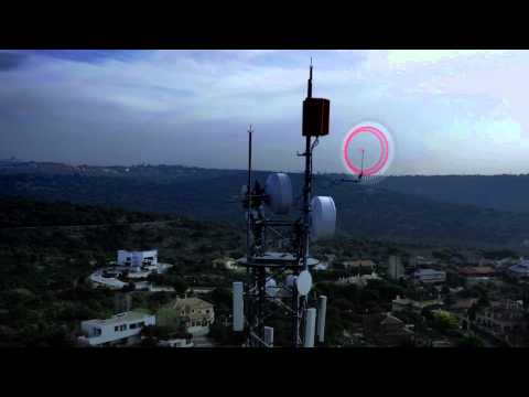 Miniatura del vídeo