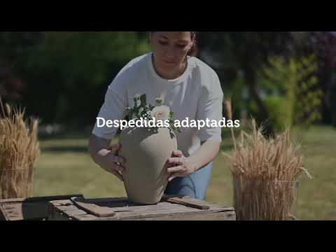 Miniatura del vídeo